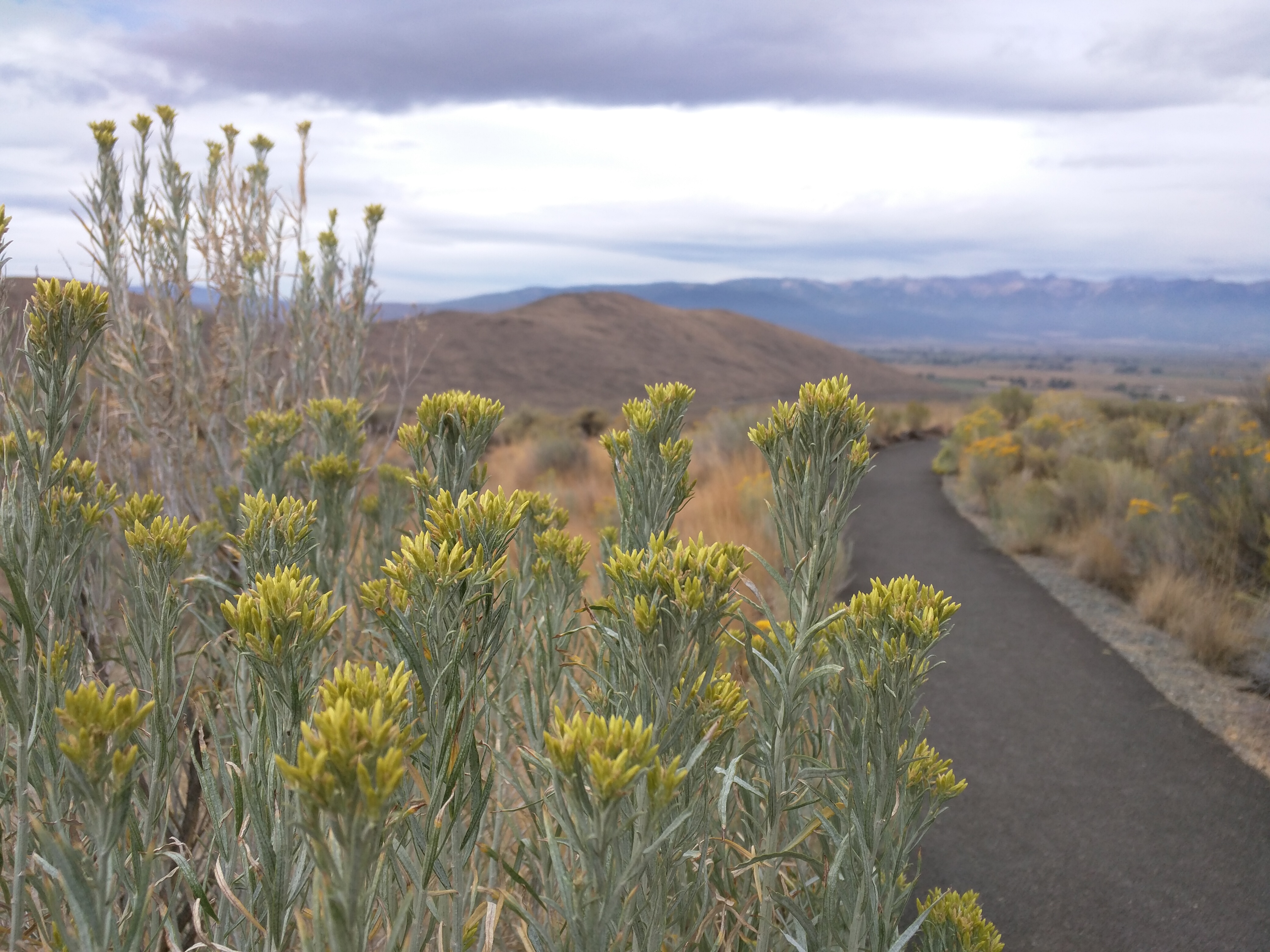 Eastern Oregon